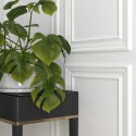 Moldura de pared MD003 (Klemp) Moldura de pared MD003 (Klemp)