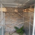 Bird aviary enclosure SafeFloor (Klemp) Bird aviary enclosure SafeFloor (Klemp)