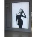 LED Advertising Lightbox 60 mm (various sizes) (Klemp) LED Advertising Lightbox 60 mm (various sizes) (Klemp)