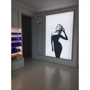 Cadre Lumineux LED Mural Ultrafin - Format A4 (22,5x30,4 Cm) - Verre Trempé, Pour Menus, Affichages Publicitaires