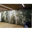 Cassonetto pubblicitario LED 100 mm (varie dimensioni) (Klemp) Cassonetto pubblicitario LED 100 mm (varie dimensioni) (Klemp)